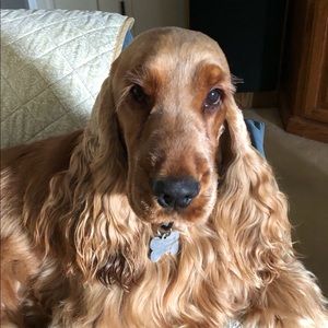 Meet your Posher, Cindy